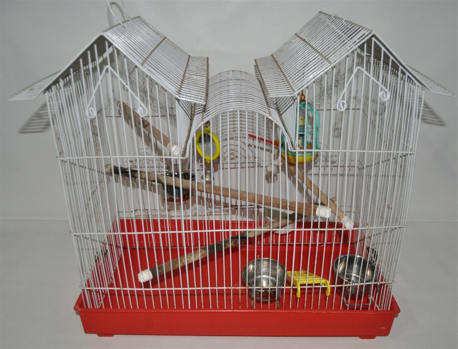 Birdcage